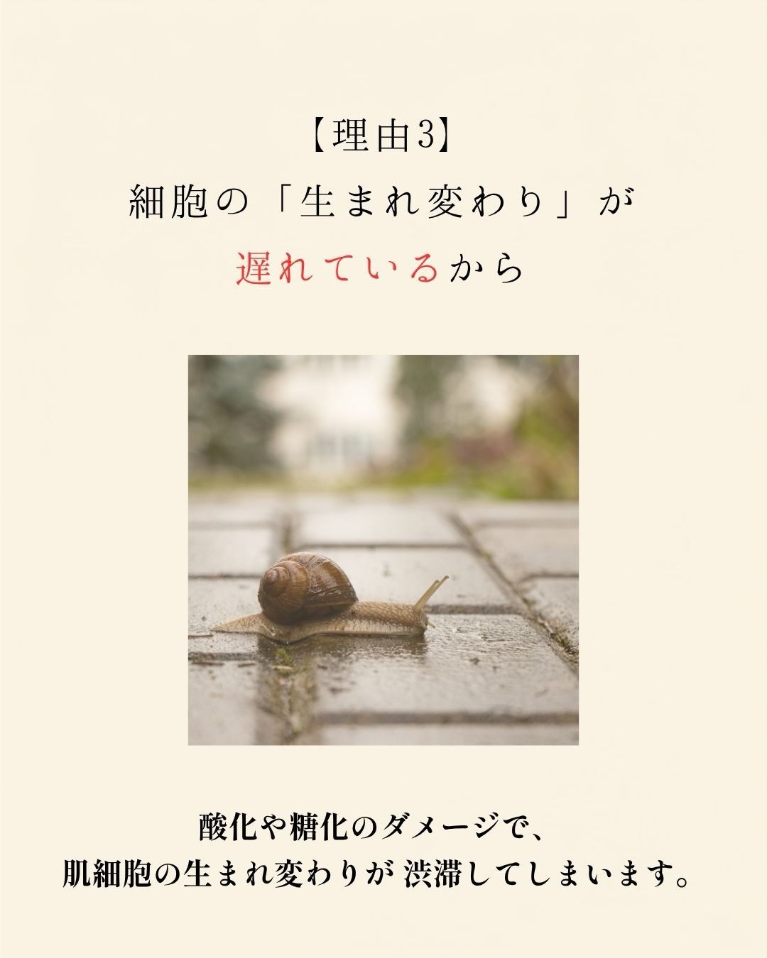 【高いスキンケアで「肌が変わらない」3つの理由💡】
